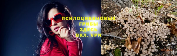 прущая мука Абдулино